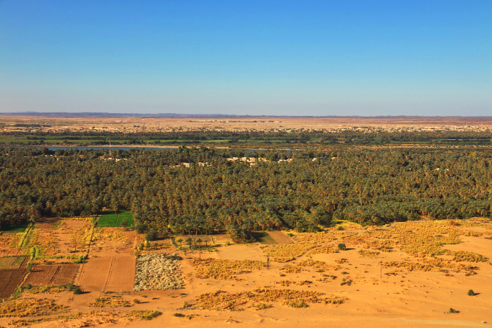 بحث عن دولة اليعاربة