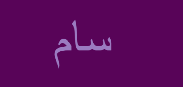 معنى اسم سام